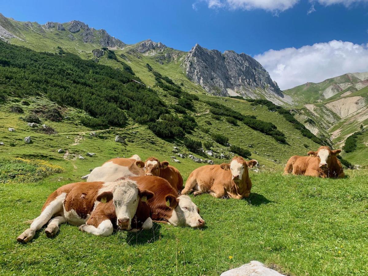 Das Wetterstein Ервалд Екстериор снимка