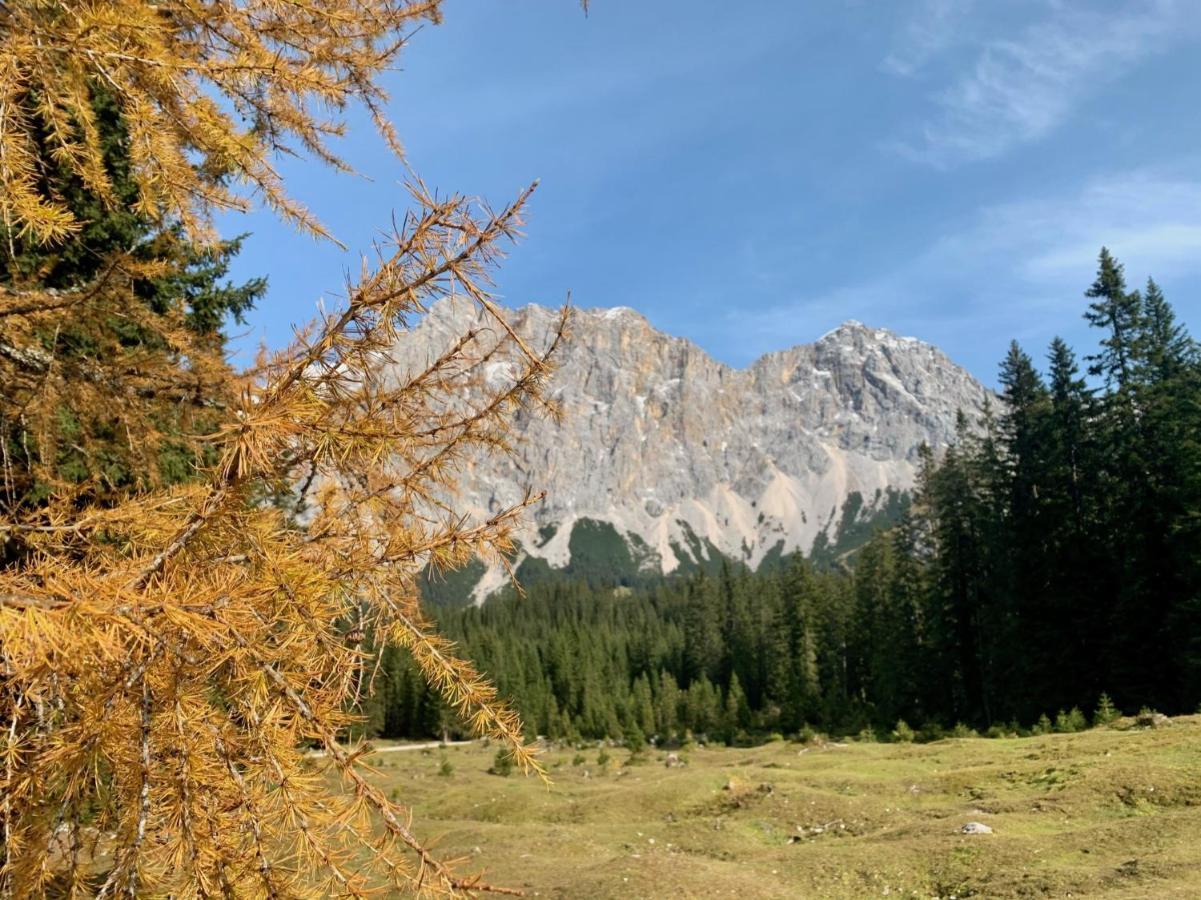 Das Wetterstein Ервалд Екстериор снимка