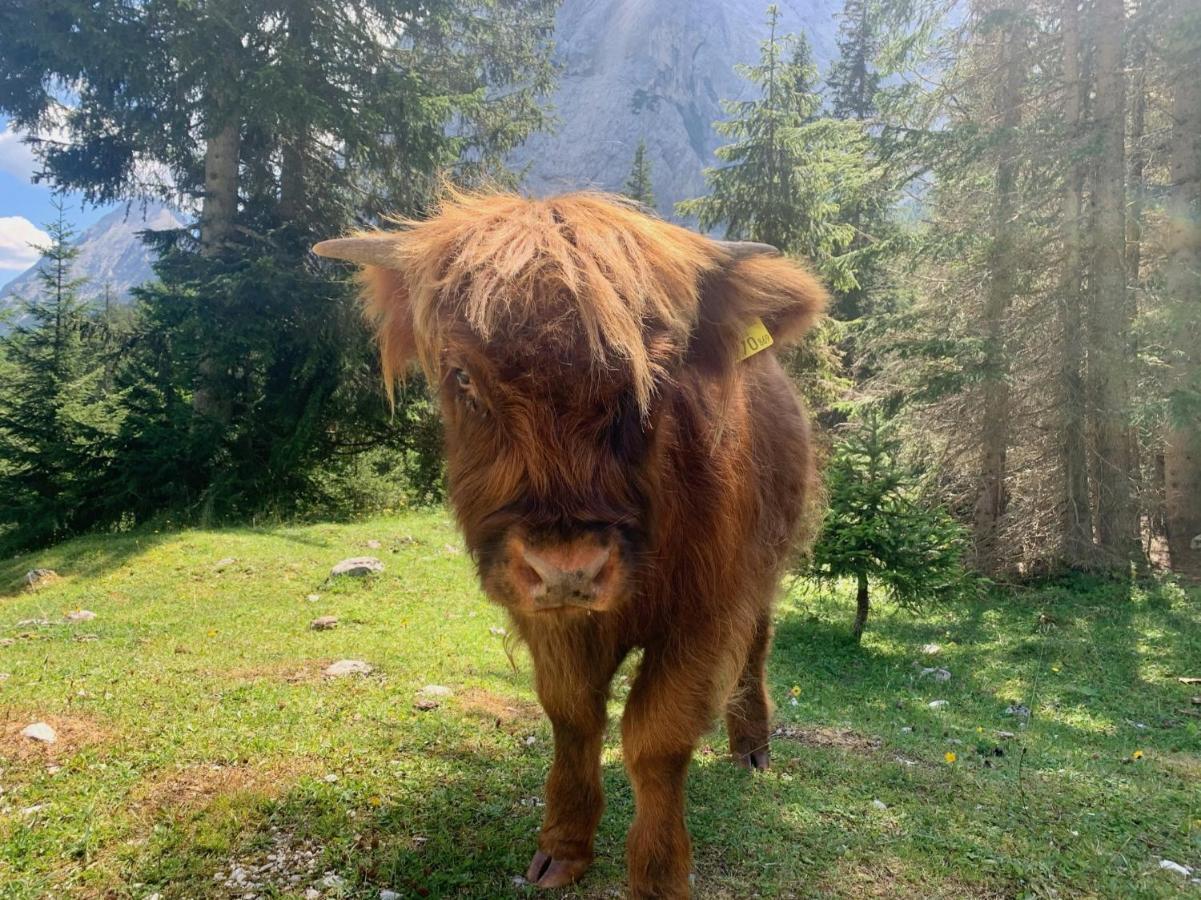 Das Wetterstein Ервалд Екстериор снимка