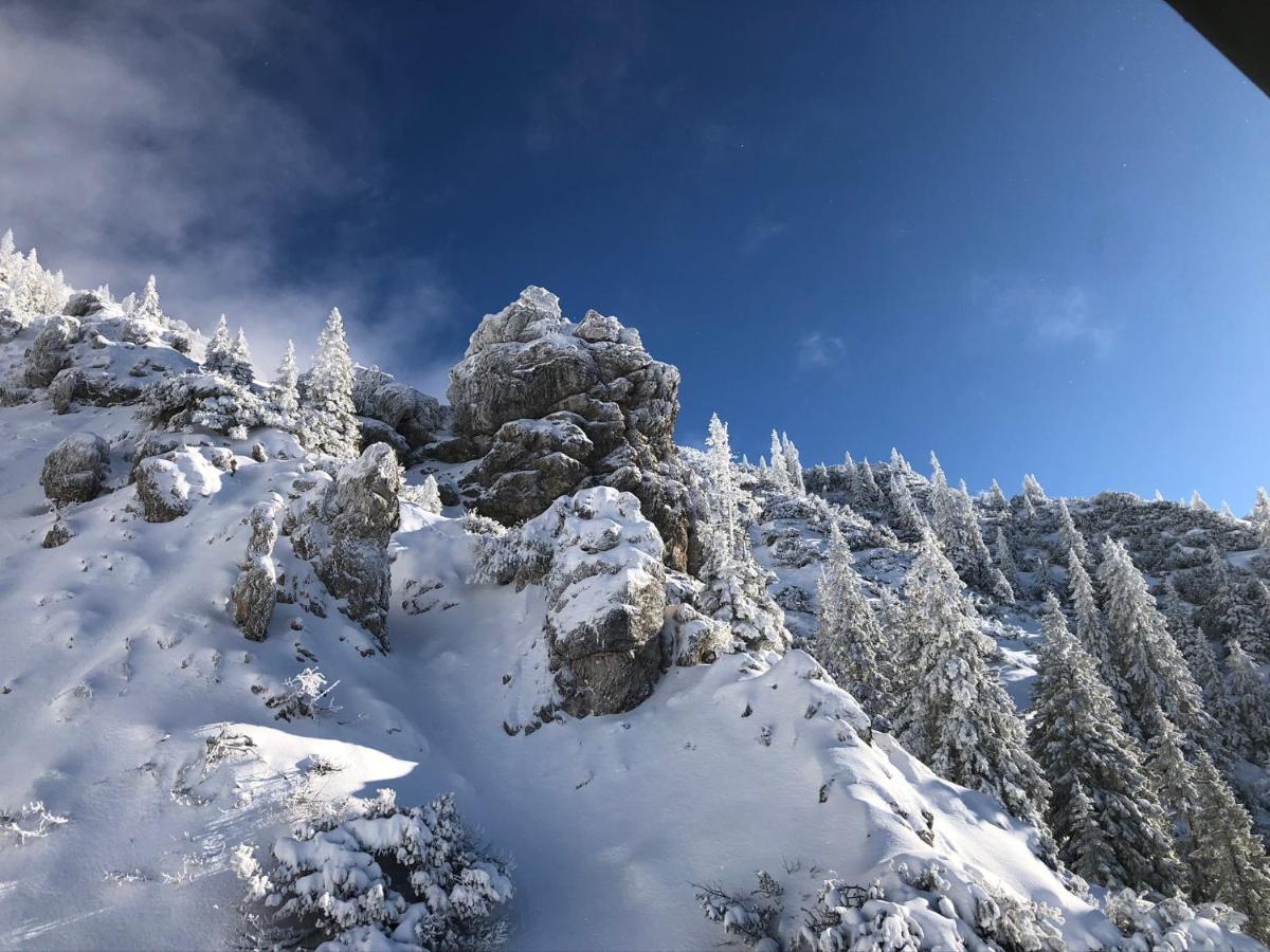 Das Wetterstein Ервалд Екстериор снимка